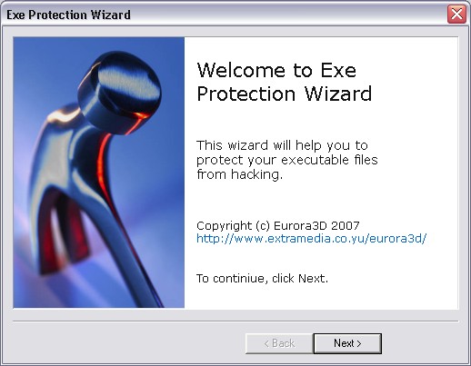 protect exe file